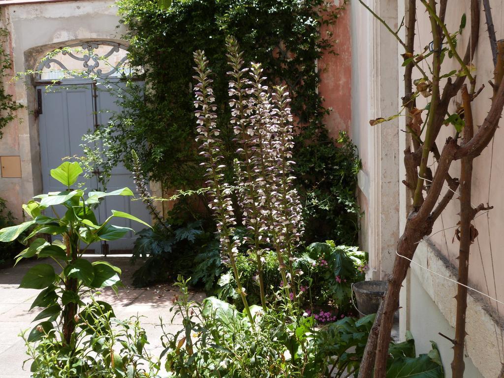 Maison Arriu Bed and Breakfast Montaut  Exterior foto
